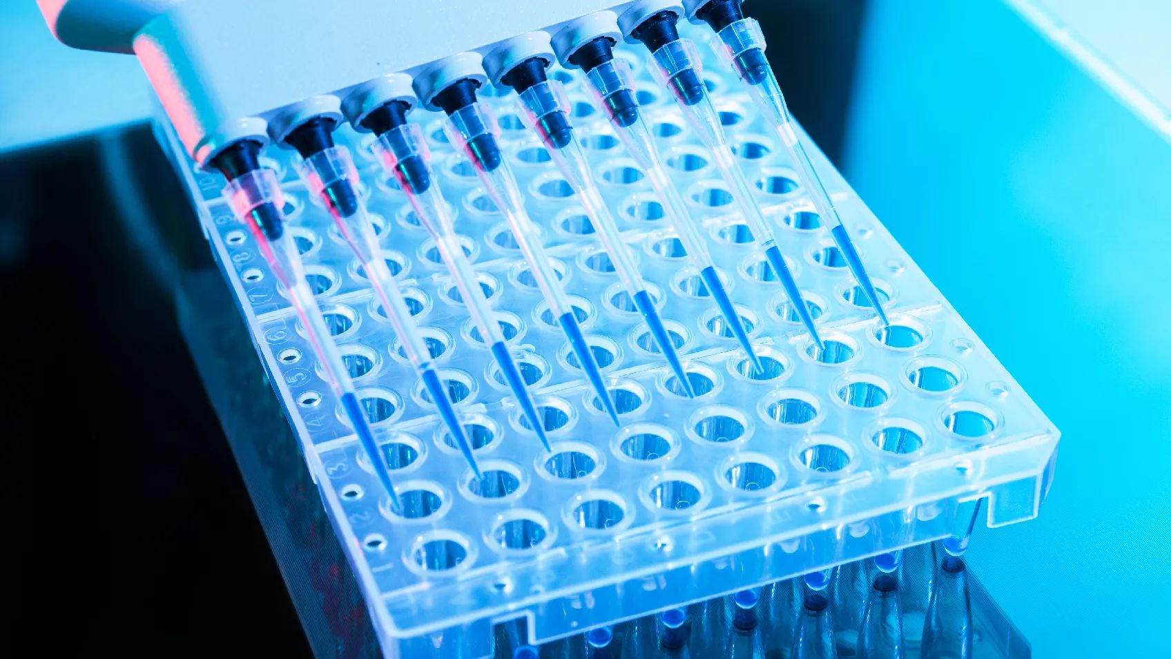 Comment tirer profit de vos correspondances ADN