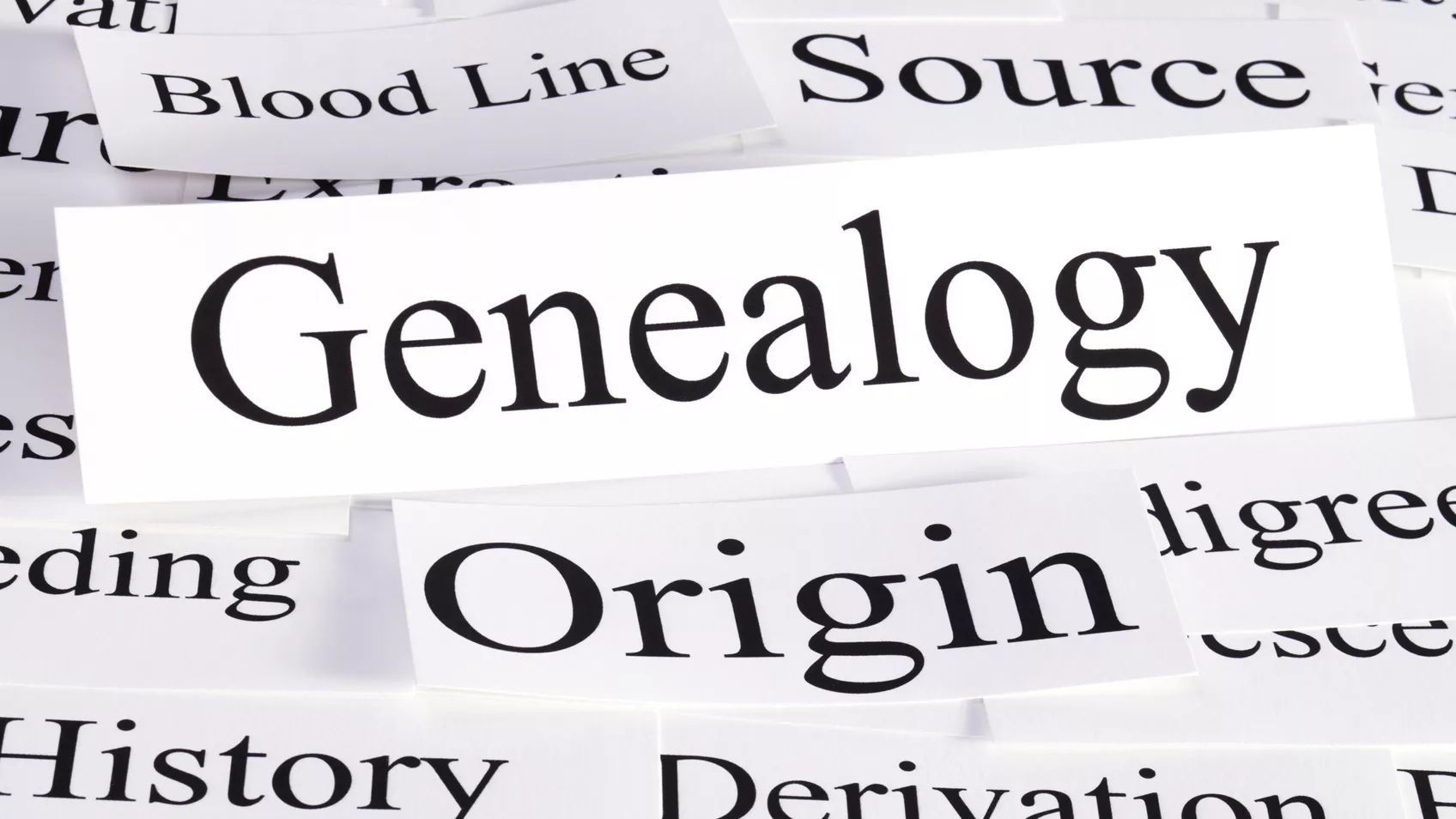 PANEL: What's Next for Genetic Genealogy?