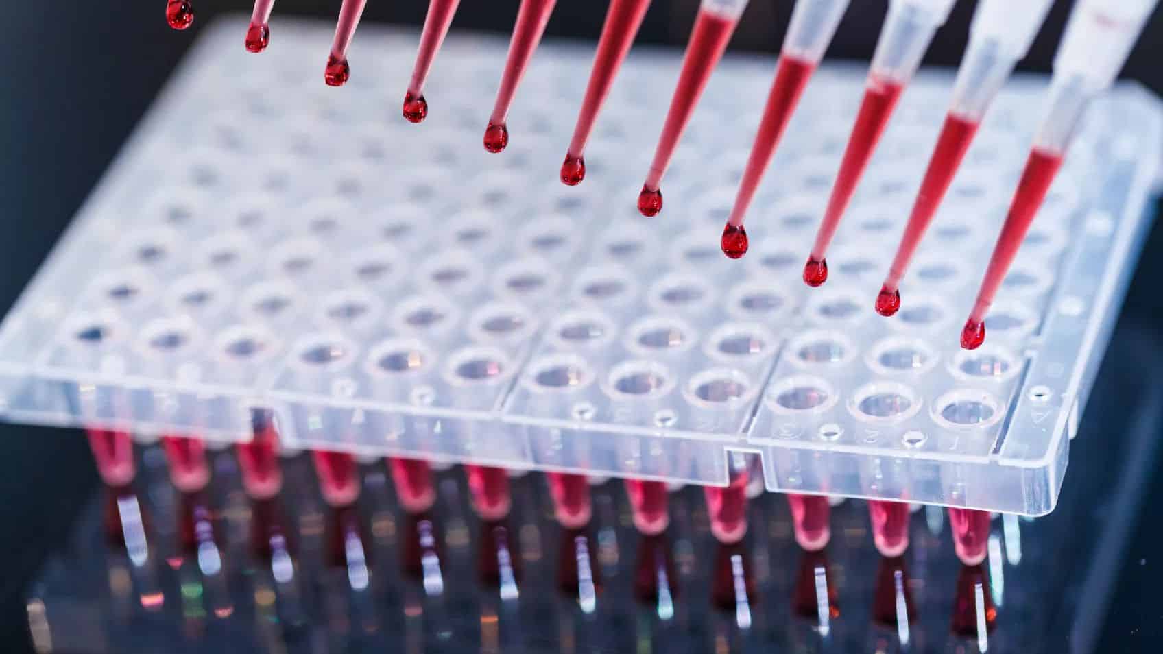 Who Are You? Identifying Your Mysterious DNA Matches