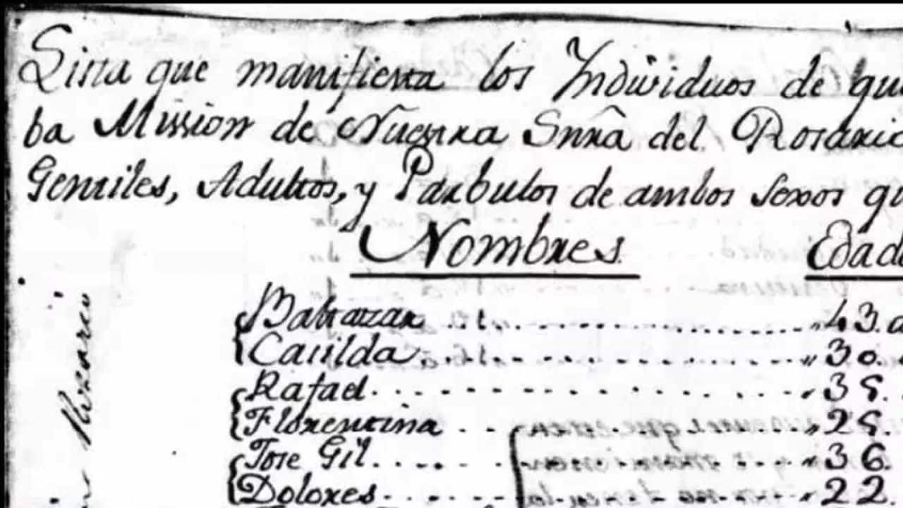 Padrones of the Past: Colonial-era Censuses of Mexico