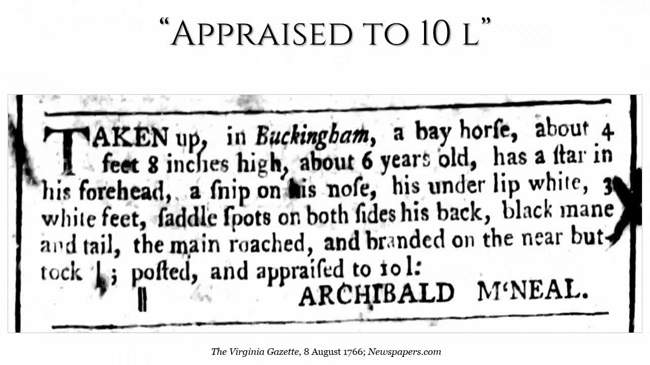 Advertising the Law: The Gems in the Legal Notices