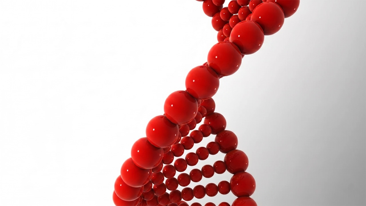 DNA in Action 2 of 6: Writing Proofs including DNA