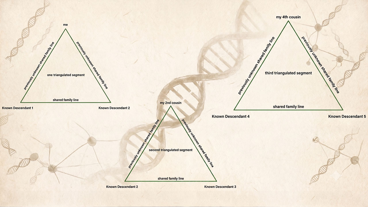 Common-Sense Principles for Establishing Genetic Relationships