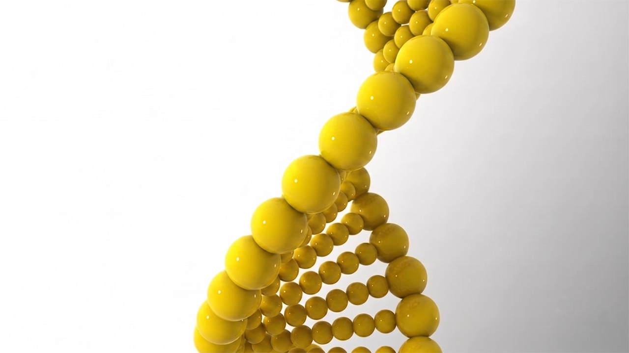 DNA in Action 3 of 6: Generating Clues from DNA Networks