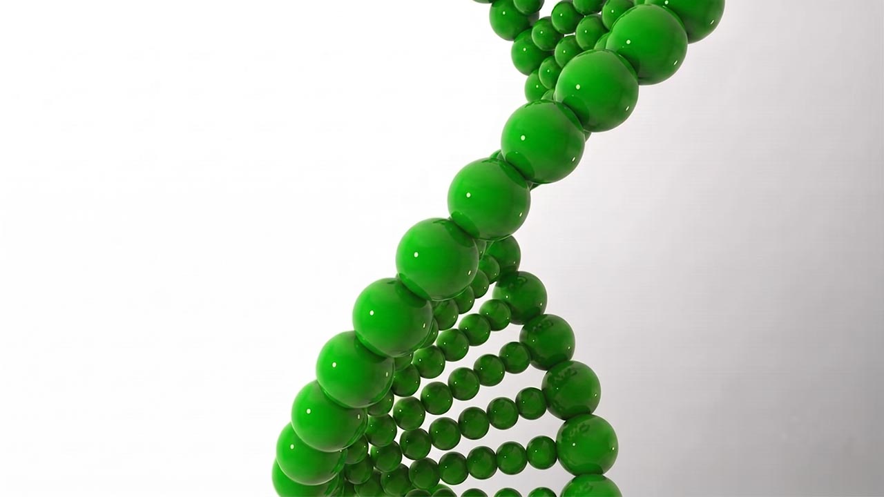 DNA in Action 4 of 6: The DNA FAN Club