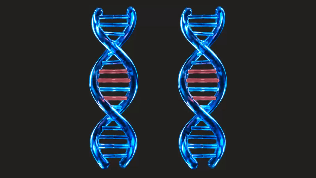 Connecting with DNA Matches: Using Tools & Technology for Collaboration