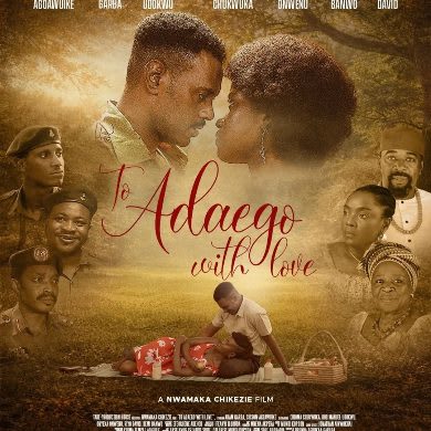 Nollywood Films 'To Adaego With Love', 'The Herd', and 'Colours of Fire' Dominate 2026 Africa Movie Academy Awards Nominations List