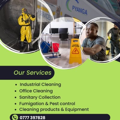 Eco-Friendly Cleaning Solutions! image