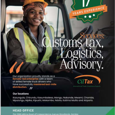 Serving clients in need of logistical, technical, and business strategy image