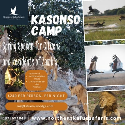 Spring special for citizens and residents for Zambia image