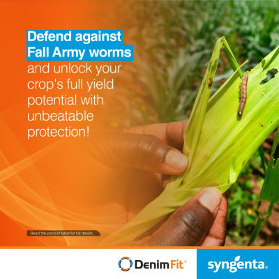 No worries about fall armyworms; let DenimFit safeguard your crop image