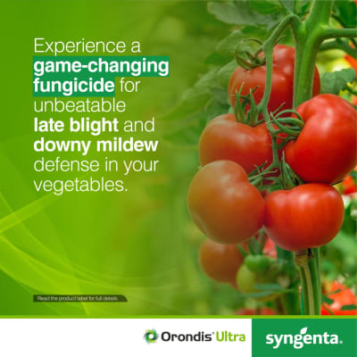 Protect crops from late blight and downy mildew with Orondis Ultra! image