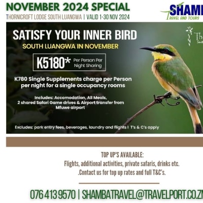 South Luangwa NOVEMBER DEAL - Thornicroft Lodge image