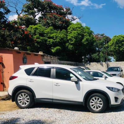 Choosing the Perfect Ride with Chaliko  image
