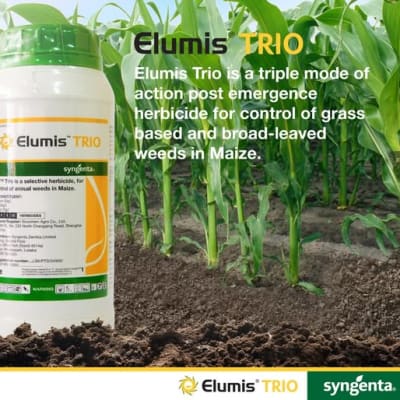 Maximize your Maize yield with Elumis Trio! image