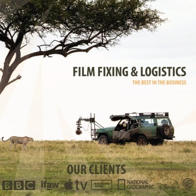 𝗔𝘁𝗼𝗭 𝗦𝗼𝗹𝘂𝘁𝗶𝗼𝗻𝘀 stands behind the scenes, ensuring every shoot runs smoothly. image
