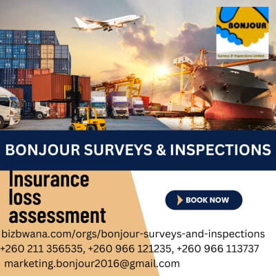 Bonjour Surveys & Inspections offers professional damage assessment services of equipment, vehicles, household goods, building materials and more. image