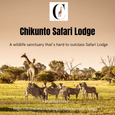Set in South Luangwa National Park, a wildlife sanctuary that's hard to outclass image