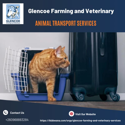 Animal transport services for household pets and exotic animals image