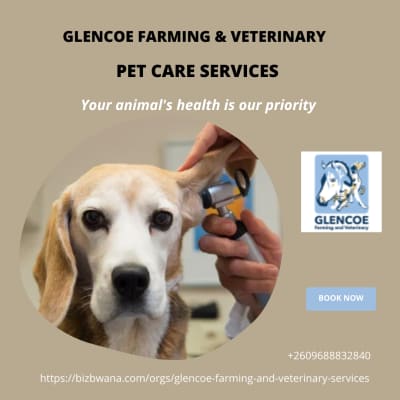 Loving, dependable and affordable pet care services image