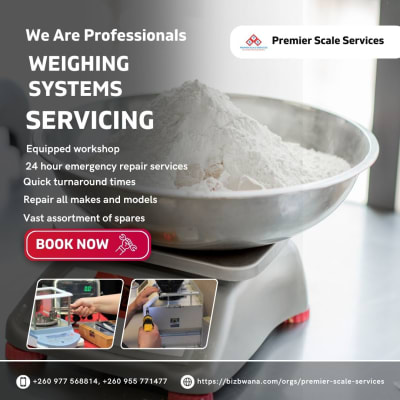 Weighing systems servicing image