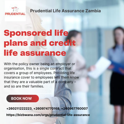 Sponsored life plans and credit life assurance image