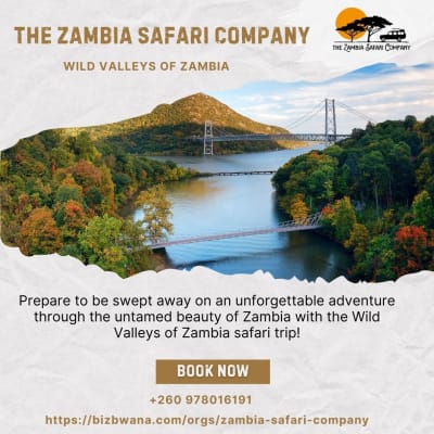  Embark on an unforgettable adventure through Zambia's Wild Valleys safari! image