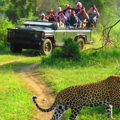 Enjoy thrilling tours to Zambia's most breathtaking locations image