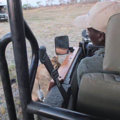 Safari Experience image