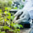 Zambian Crop and Veterinary Care Ltd