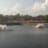 Yalelo Zambia Ltd