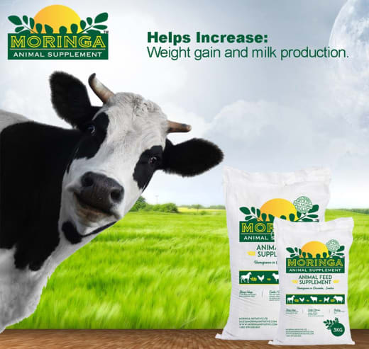 Animal feed supplements available at Livestock Services - News by