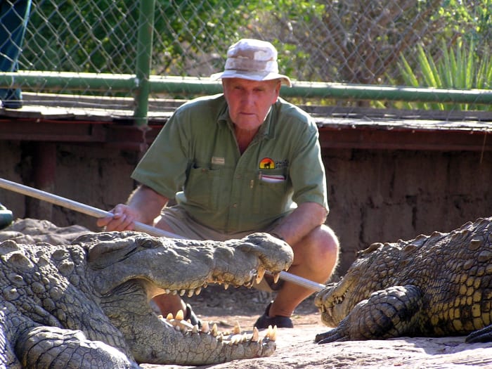 Livingstone Crocodile Farm Visit | Adorable Safari and Tours