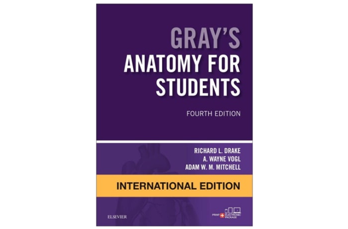 Gray's Anatomy for Students International Edition Fourth Edition | Bookworld Gray's Anatomy for Students International Edition Fourth Edition | Bookworld