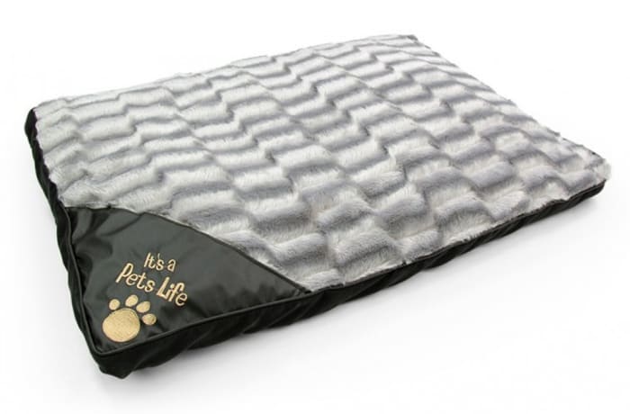 Pet Beds Large Pet Mattress Poundstretcher Zambia Ltd
