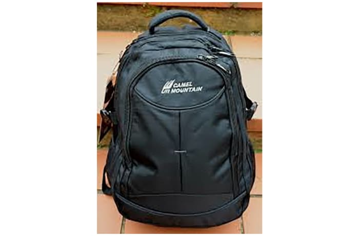 camel mountain school bags price