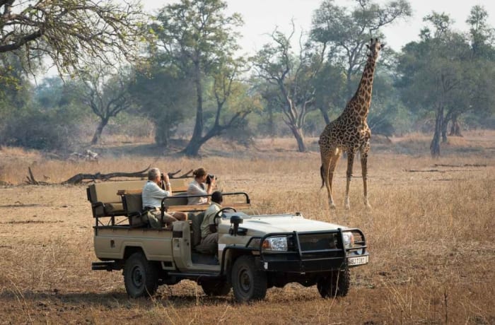 Safaris image