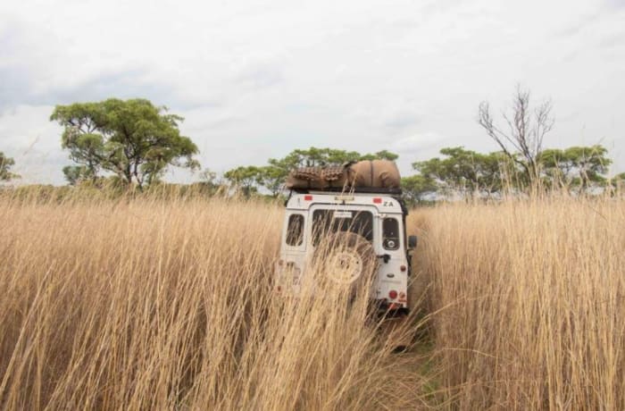 Safaris image