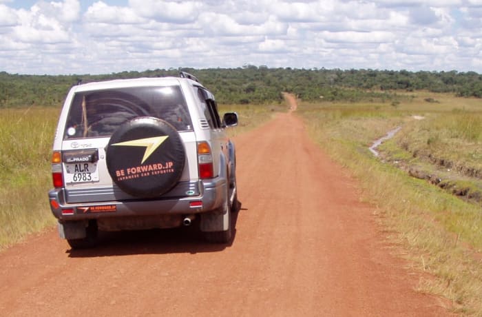 Car rentals image