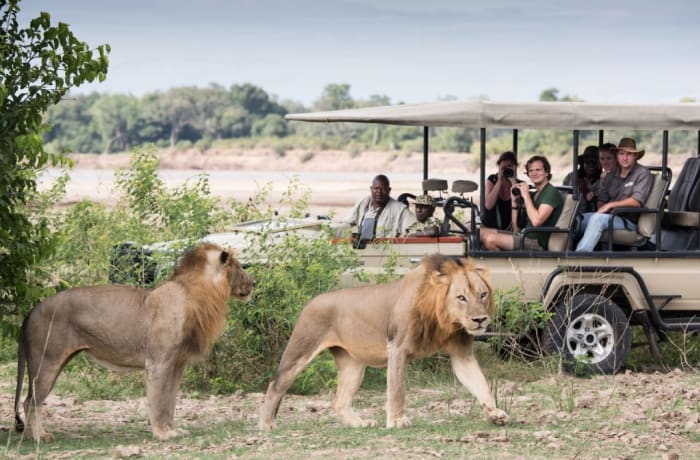 Safaris image