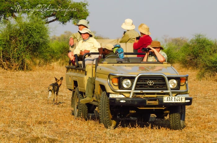 Safaris image