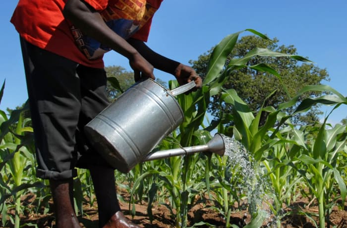 Agriculture sector image