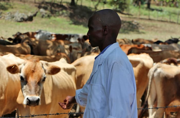 Agricultural consultants image