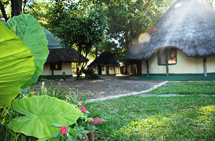 Safari lodges image