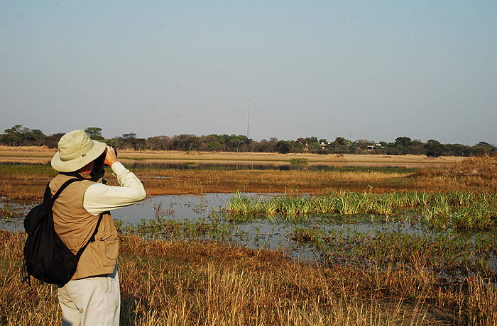 Safaris image