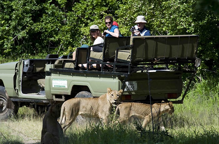 Safaris image