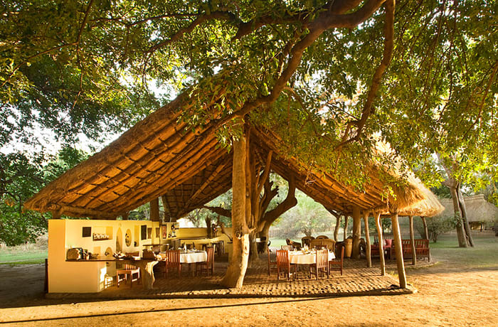 Safari camps image