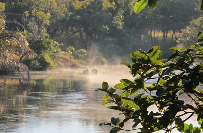 Safari lodges image