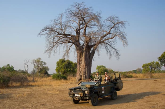 Safaris image