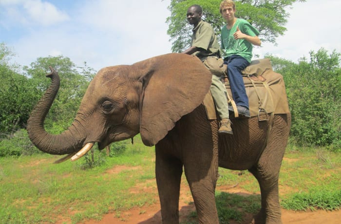 Animal encounter image